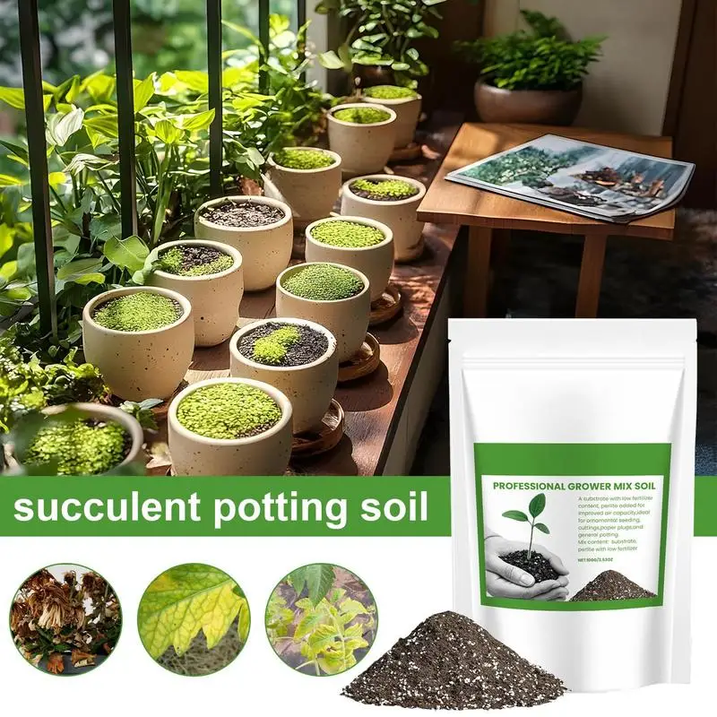Sukkulenten-Erde, Belüfteter B – Bonsai Gardener Bewertung und Preis