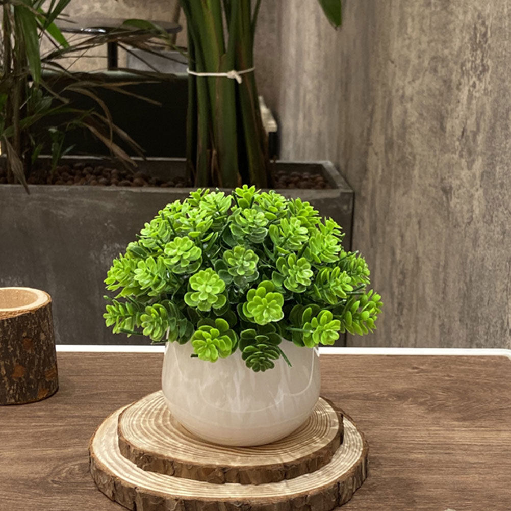 Realistischer künstlicher Bons – Bonsai Garden And Cafe Bewertung und Preis