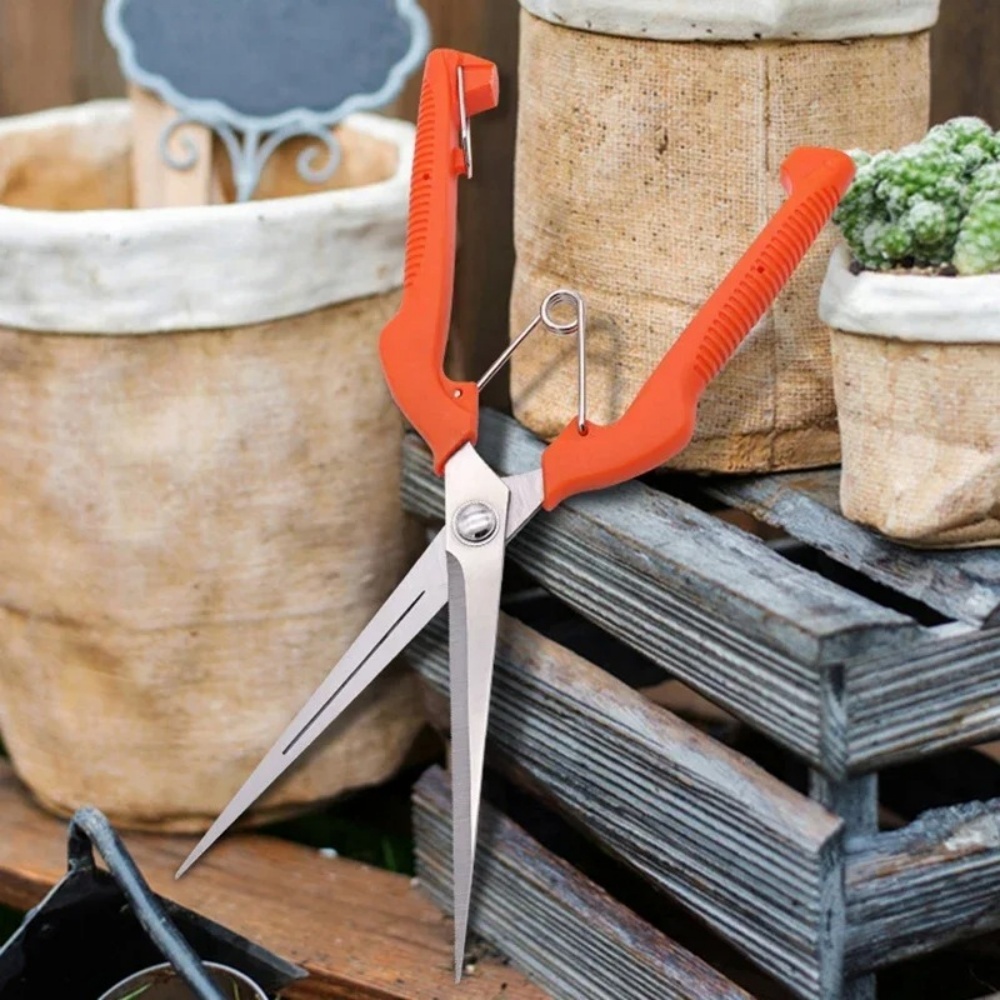 Professionelle Garten Beschnei – Bonsai Garden Knife Bewertung und Preis