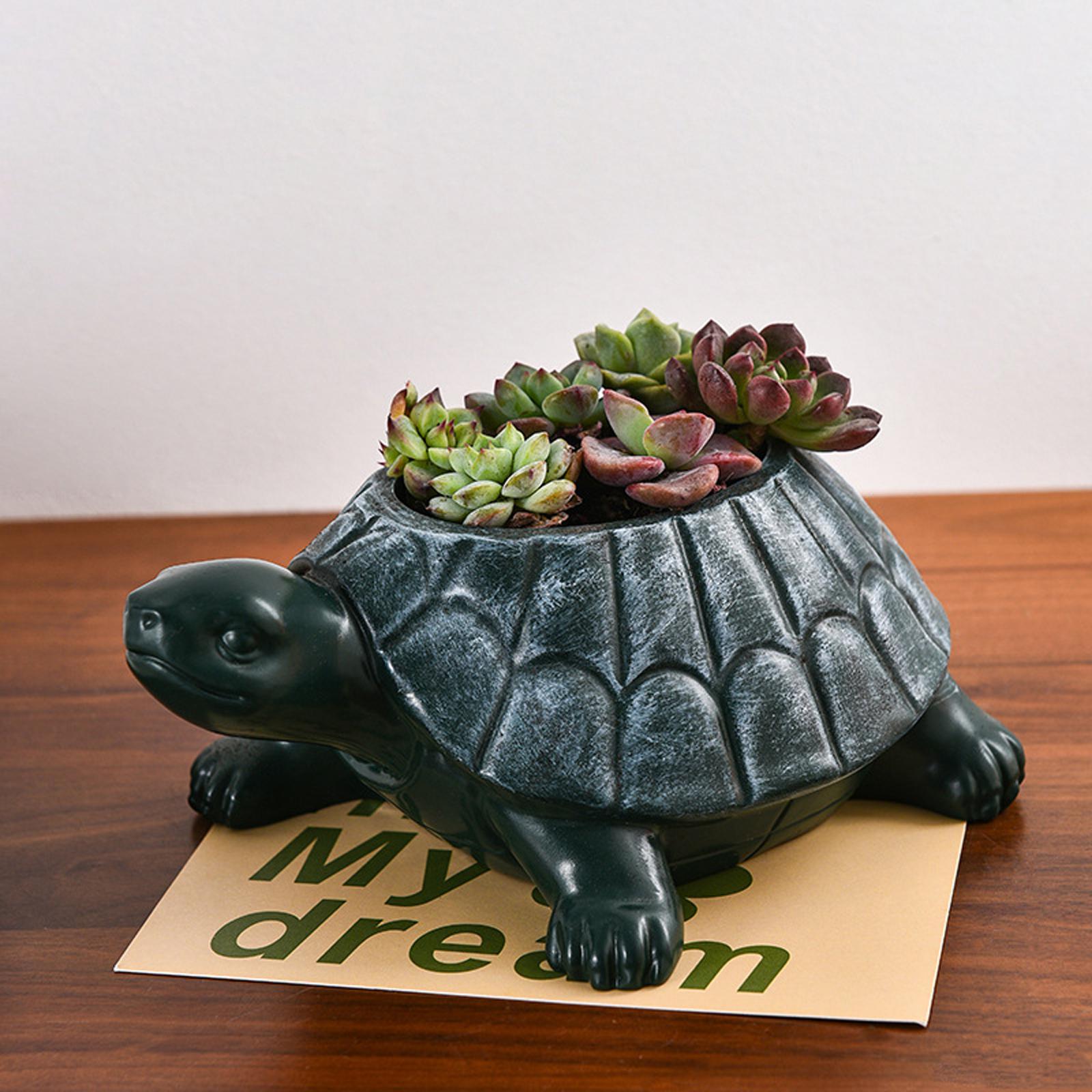 Schildkröten-Blumentopf Sammle – Bonsai Garden And Cafe Bewertung und Preis