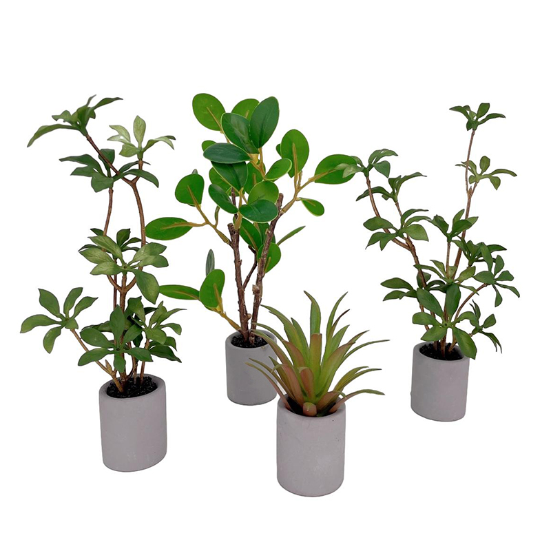 1:6 Puppenhaus Miniatur Topfpf – Bonsai Garden Miniature Bewertung und Preis