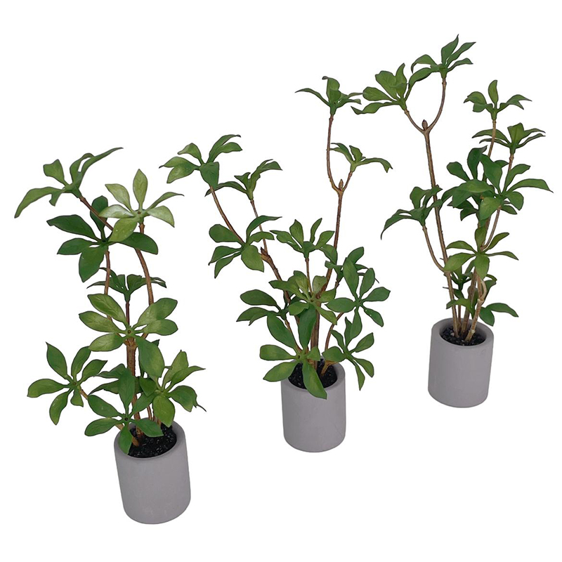 1:6 Puppenhaus Miniatur Topfpf – Bonsai Garden Miniature Bewertung und Preis