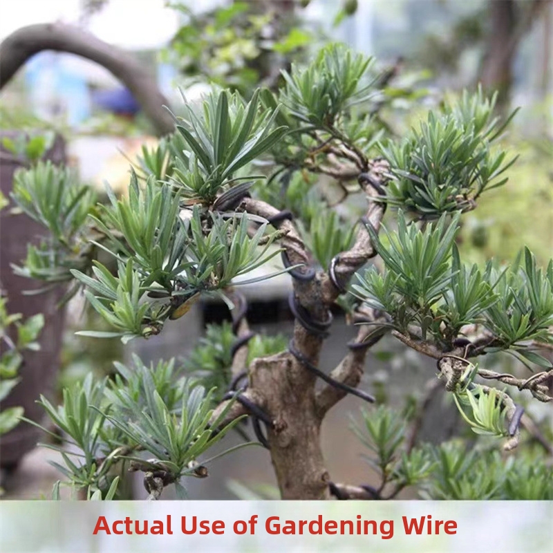 1,5-mm-Bonsaidrähte, Aluminium – Bonsai Gardener Bewertung und Preis
