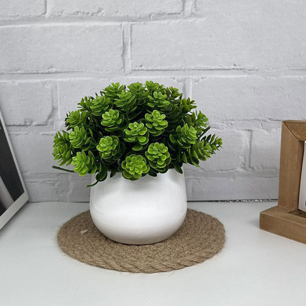 Realistische Künstliche Bonsai – Bonsai Garden And Cafe Bewertung und Preis