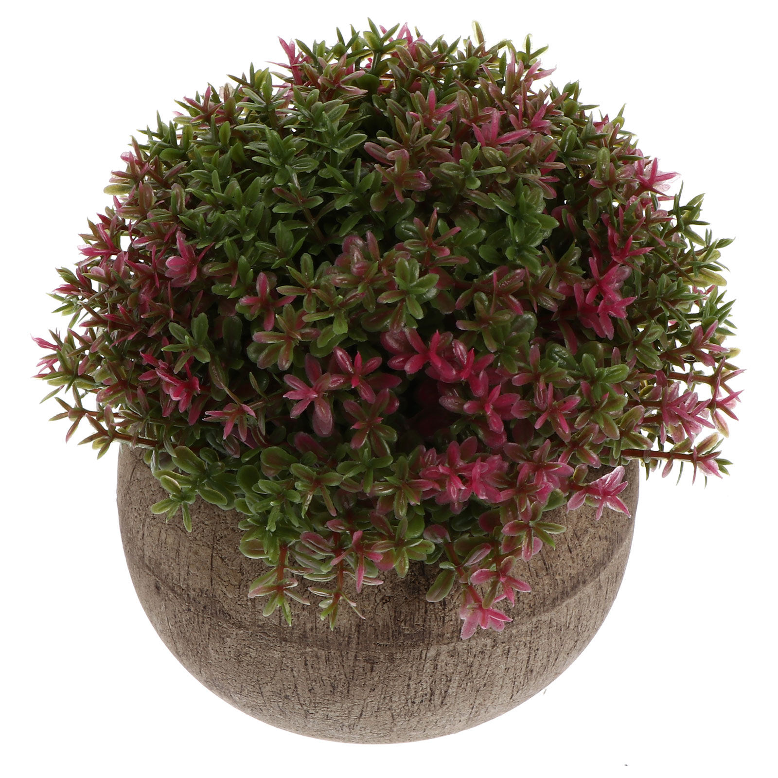 Mini Plastik-Bonsai Realistisc – Bonsai Garden And Cafe Bewertung und Preis