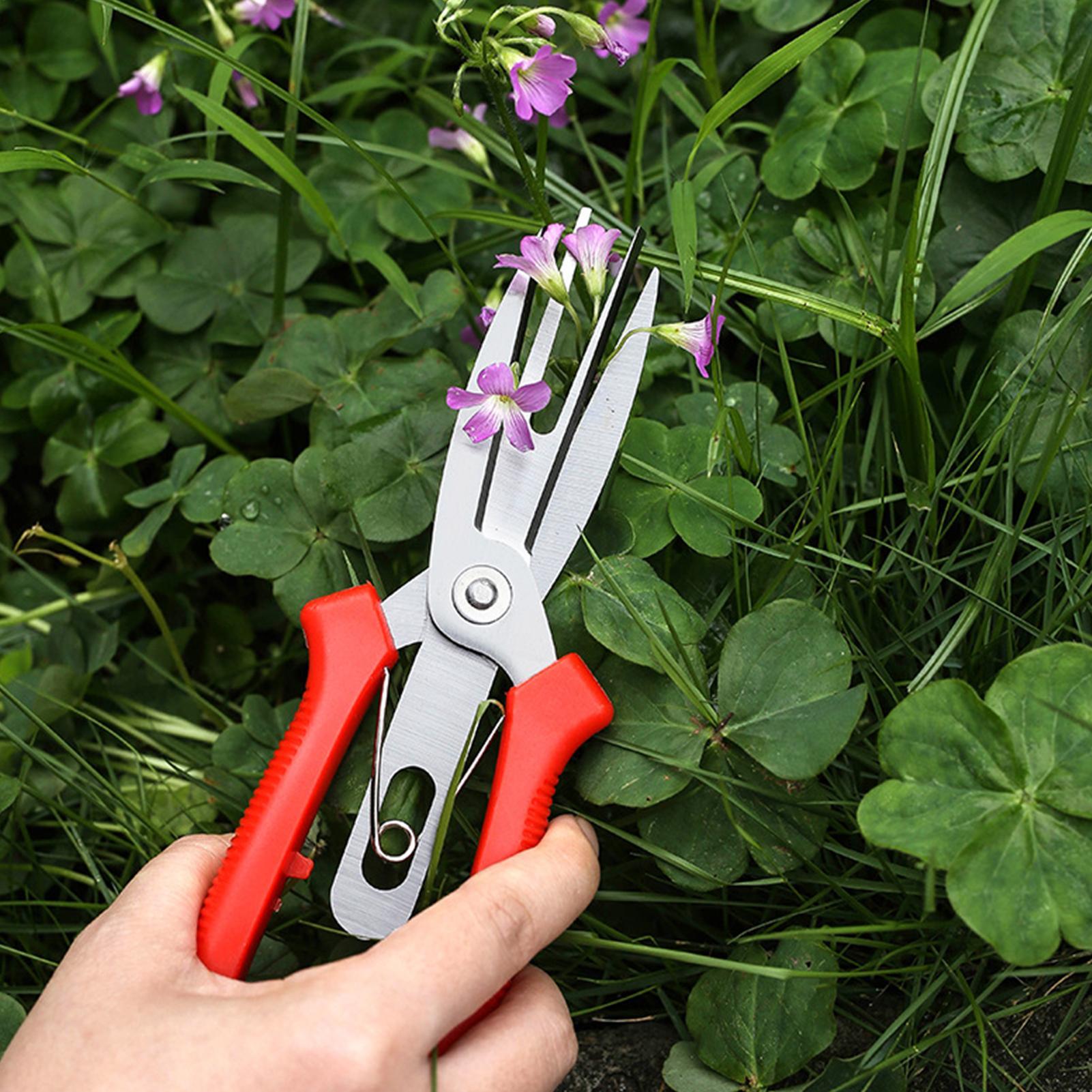 Gartenschere aus Edelstahl, er – Bonsai Gardener Bewertung und Preis