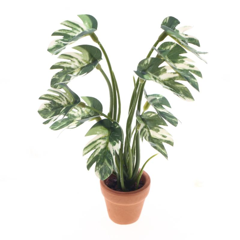 Neu. 1 Stück 1/12 Puppenhaus-S – Bonsai Gardener Bewertung und Preis