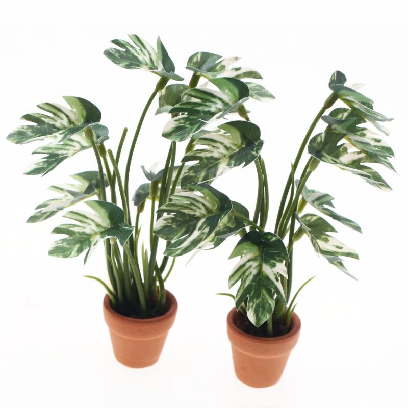 Neu. 1 Stück 1/12 Puppenhaus-S – Bonsai Gardener Bewertung und Preis