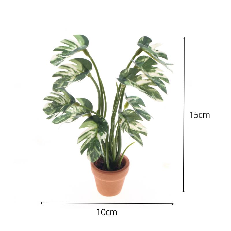 Neu. 1 Stück 1/12 Puppenhaus-S – Bonsai Gardener Bewertung und Preis