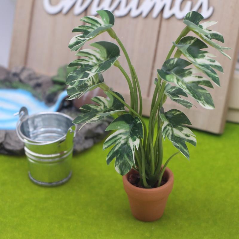 Neu. 1 Stück 1/12 Puppenhaus-S – Bonsai Gardener Bewertung und Preis
