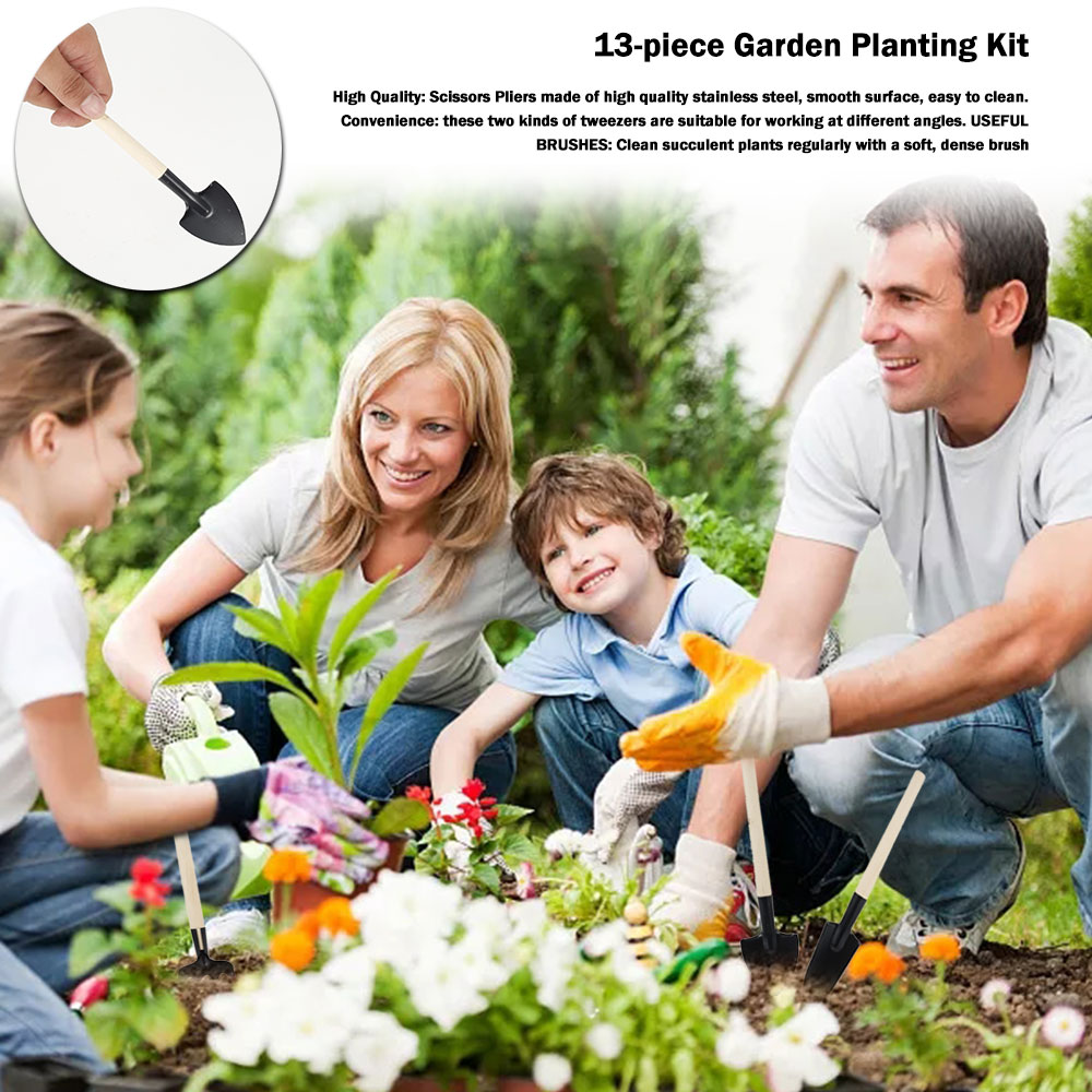 Sukkulenten Werkzeuge Mini Gar – Bonsai Garden Miniature Bewertung und Preis